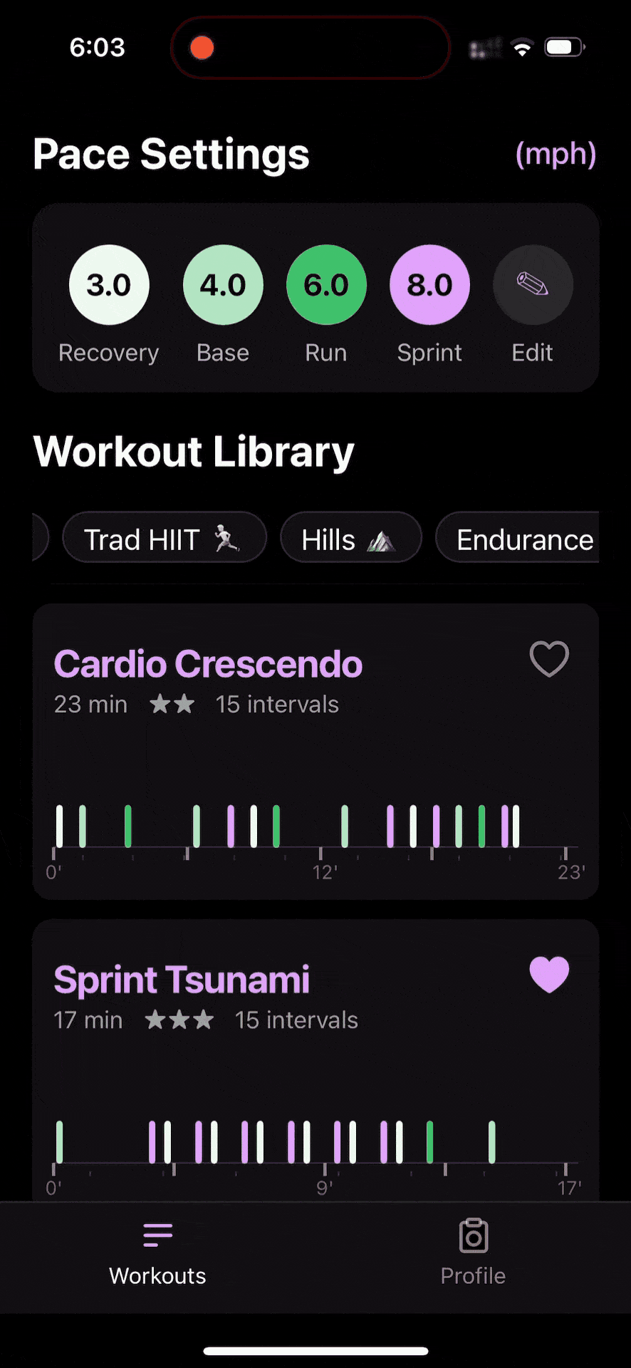 Workout in Progress